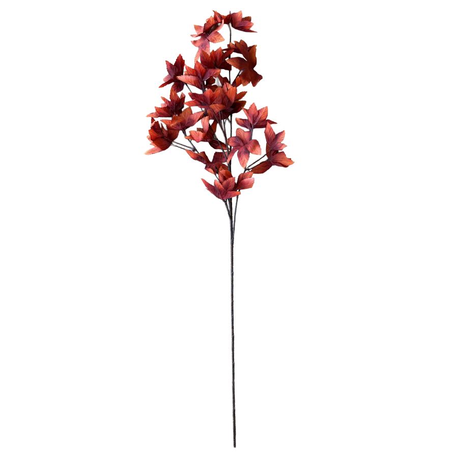 Red Japanese Maple Stem
